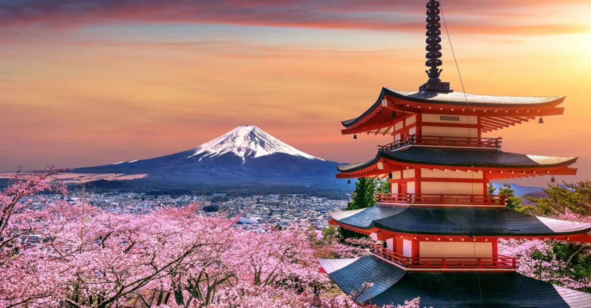 Cherry blossoms, few crowds and affordable prices: when is the perfect time to travel to Japan