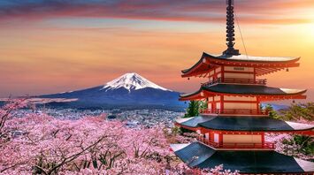 Cherry blossoms, few crowds and affordable prices: when is the perfect time to travel to Japan