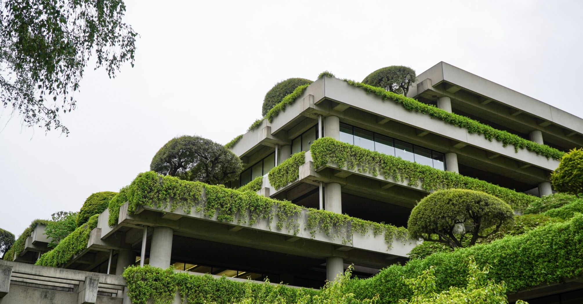 An eco-friendly hotel building covered with lush green plants and foliage, demonstrating modern sustainable architecture