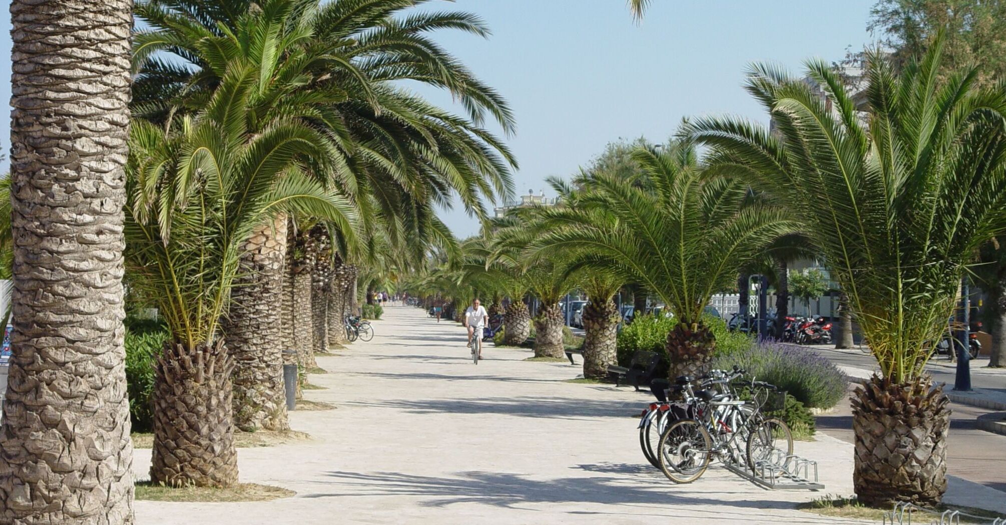 San Benedetto del Tronto: A plan for visiting this Italian commune