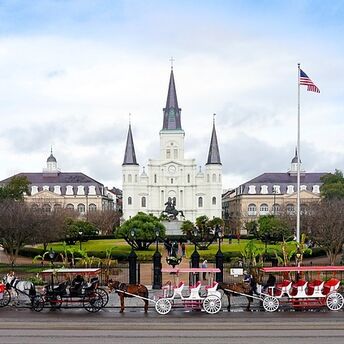 Amazing New Orleans