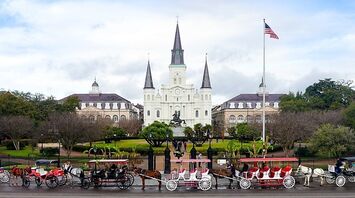 Amazing New Orleans