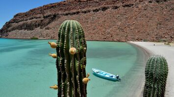 A serene view of Baja California Sur, Mexico, featuring a calm turquoise bay with a blue boat and cacti in the foreground