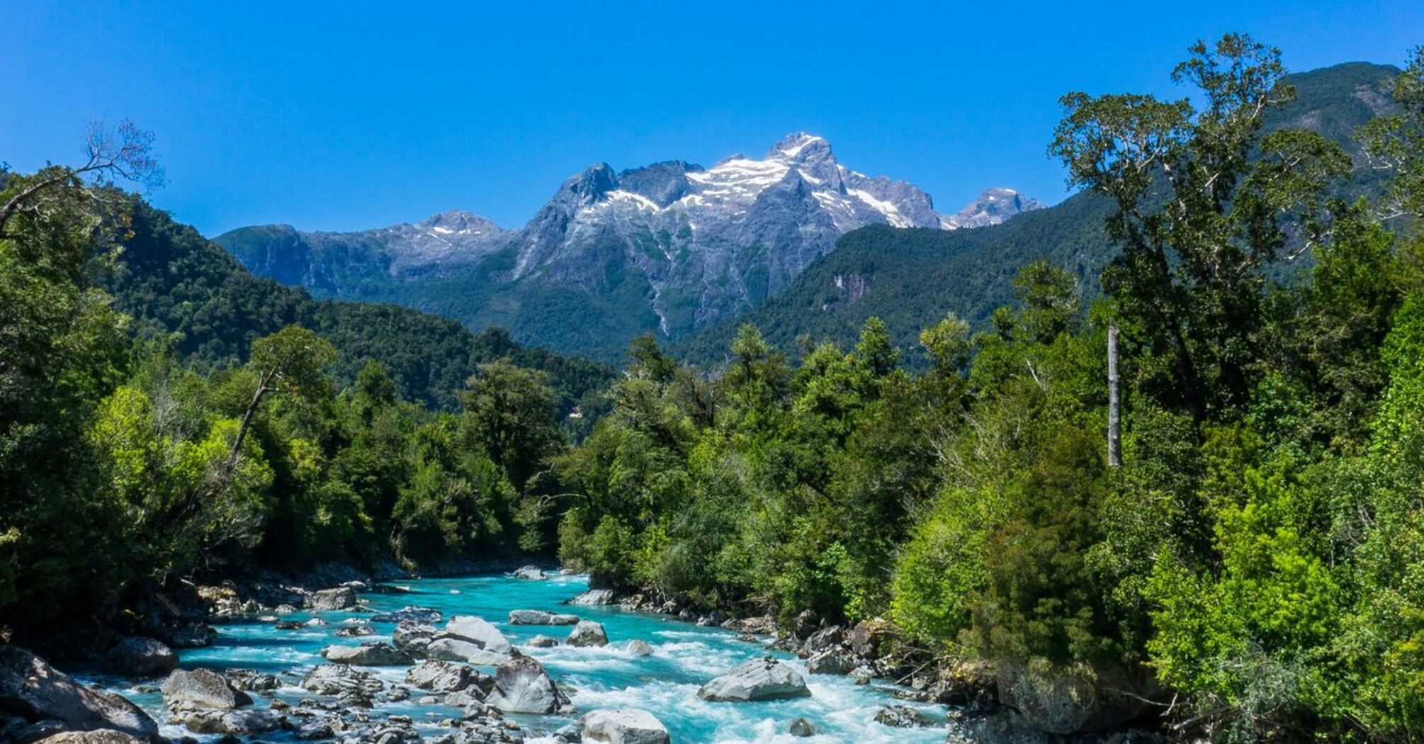 River and trees against the background of mountains in Chile