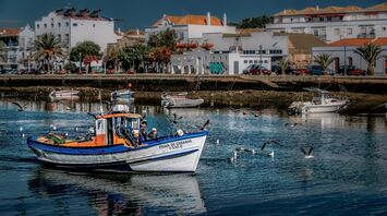 Colorful fishing boat on the calm waters of the Algarve with seagulls flying around and traditional white architecture in the background