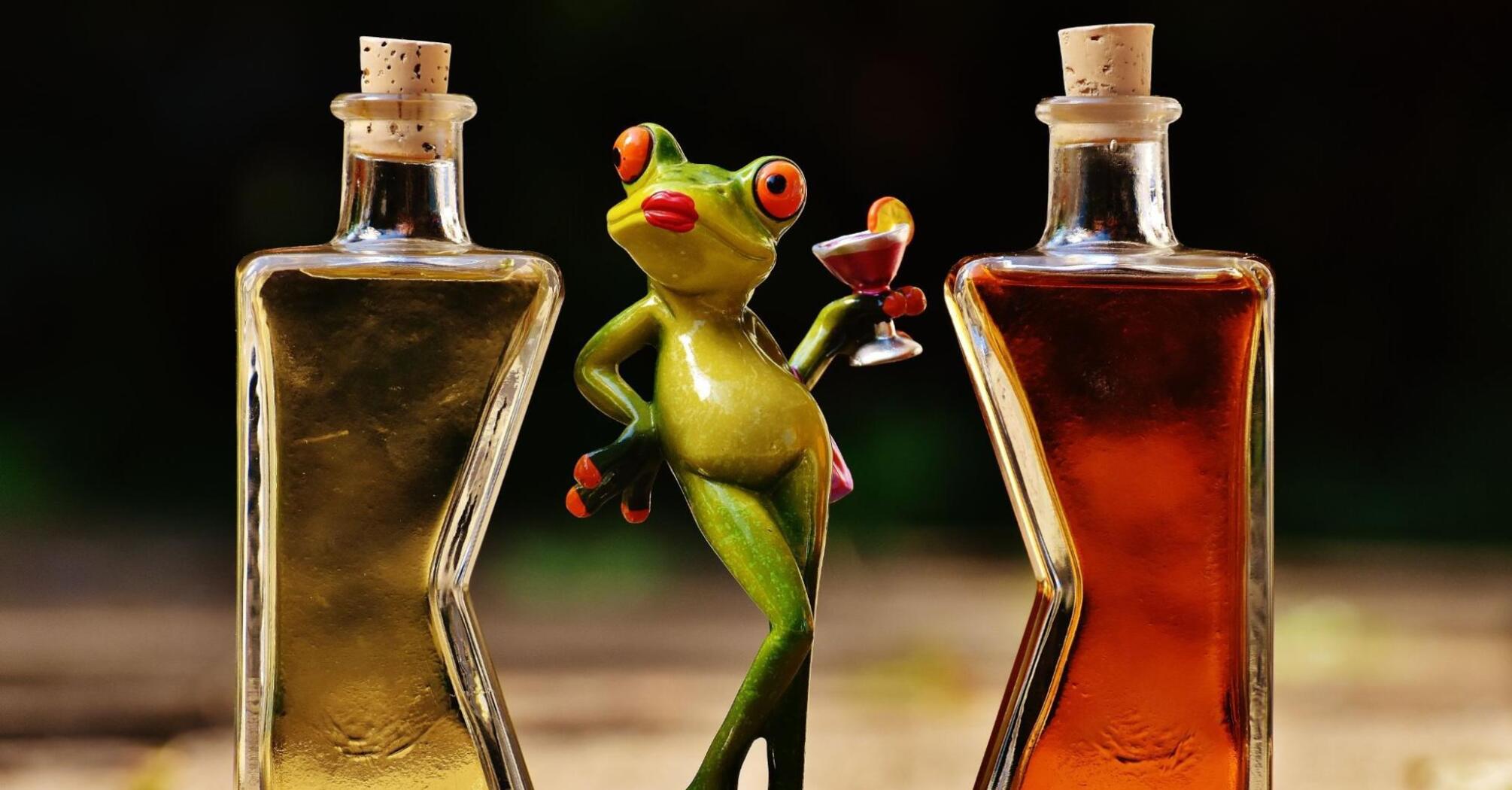 Flirty frog with a glass in her paw