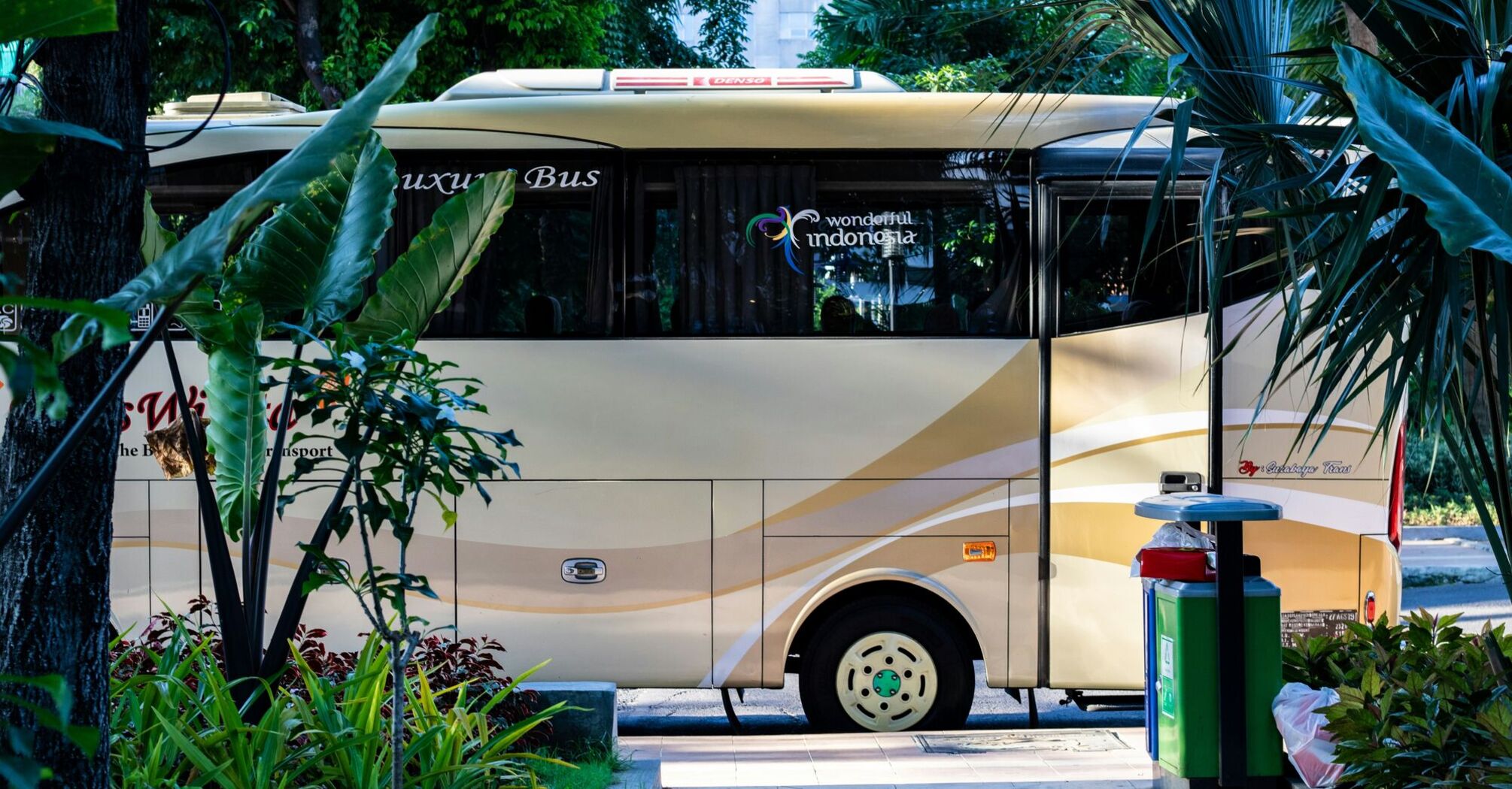 A luxury coach bus, parked amidst lush greenery