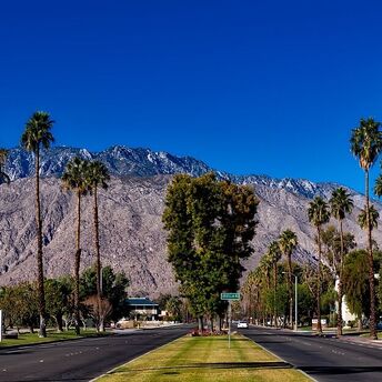 Luxurious hotels in Palm Springs: top 19 for an unforgettable vacation in California