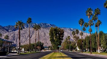 Luxurious hotels in Palm Springs: top 19 for an unforgettable vacation in California