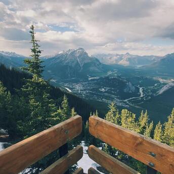 Unique ecosystems and reserves: top 5 countries with the largest number of forests