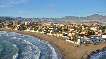 A shark washed up on the Costa de Masarron in Spain