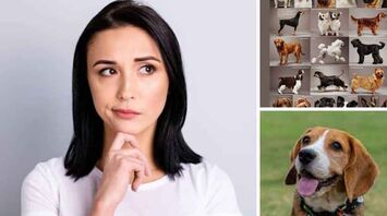 What dog will you take home? This psychological test will tell you a lot about you