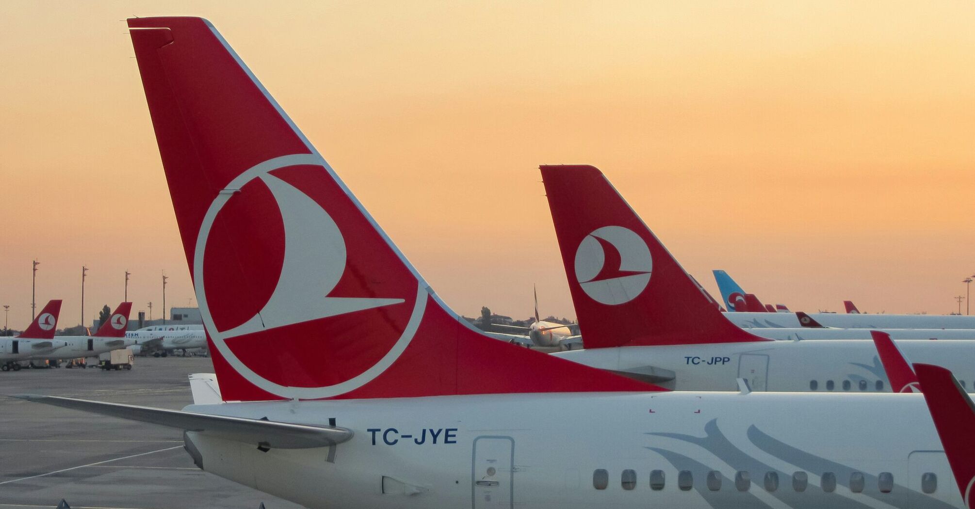 Tail fins of Turkish Airlines aircraft at sunset