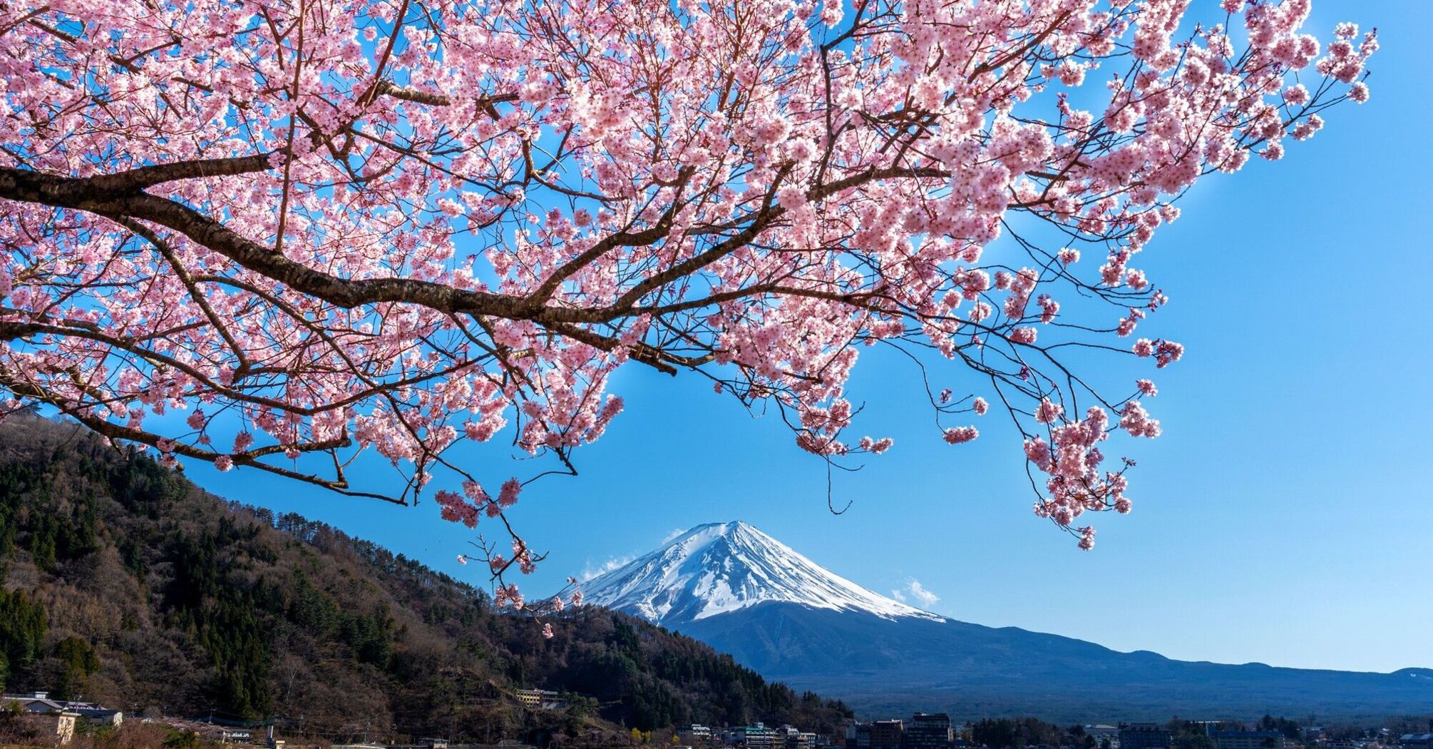 Japan named the most popular destination for tourists in 2024