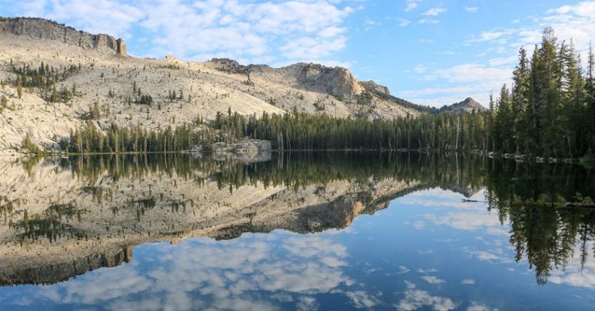 Ticket reservations are now available: plan your summer vacation in Yosemite National Park