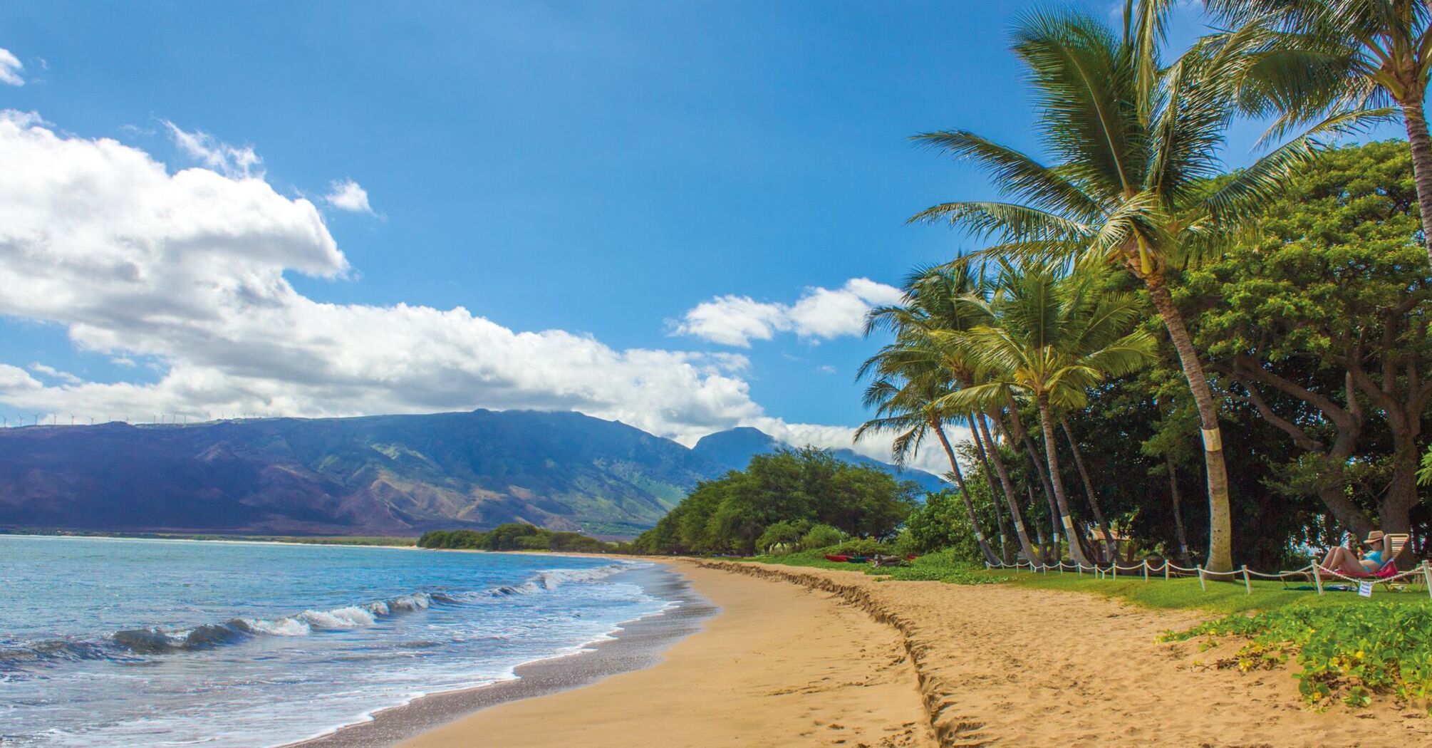 Beach Landscape Hawaii
