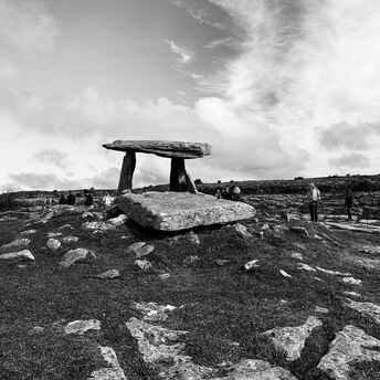 Life and death in the burren.