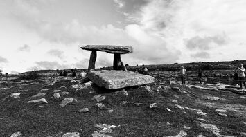 Life and death in the burren.