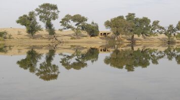 A calm desert lake reflecting trees and an old structure