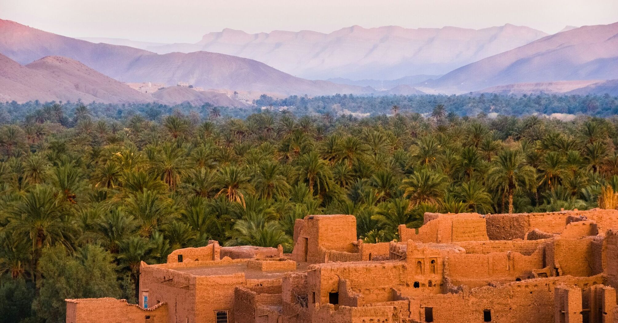 Oasis, Tamnougalt, Morocco