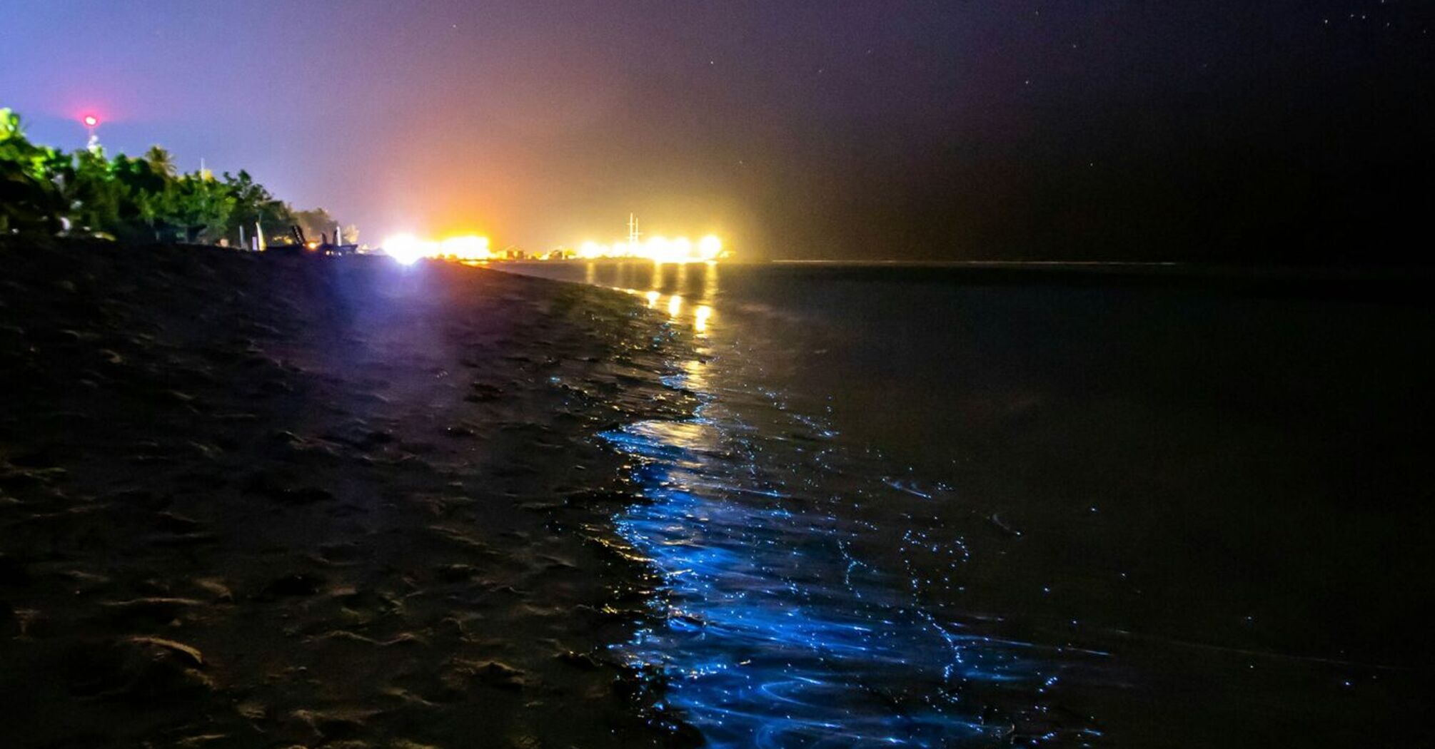 Bioluminescent waves glowing along the shore at night in Newport