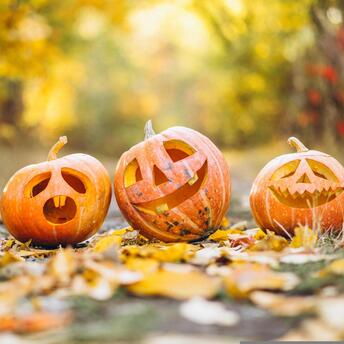 Best Pumpkin Farms Near Los Angeles for a Memorable Halloween