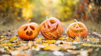 Best Pumpkin Farms Near Los Angeles for a Memorable Halloween