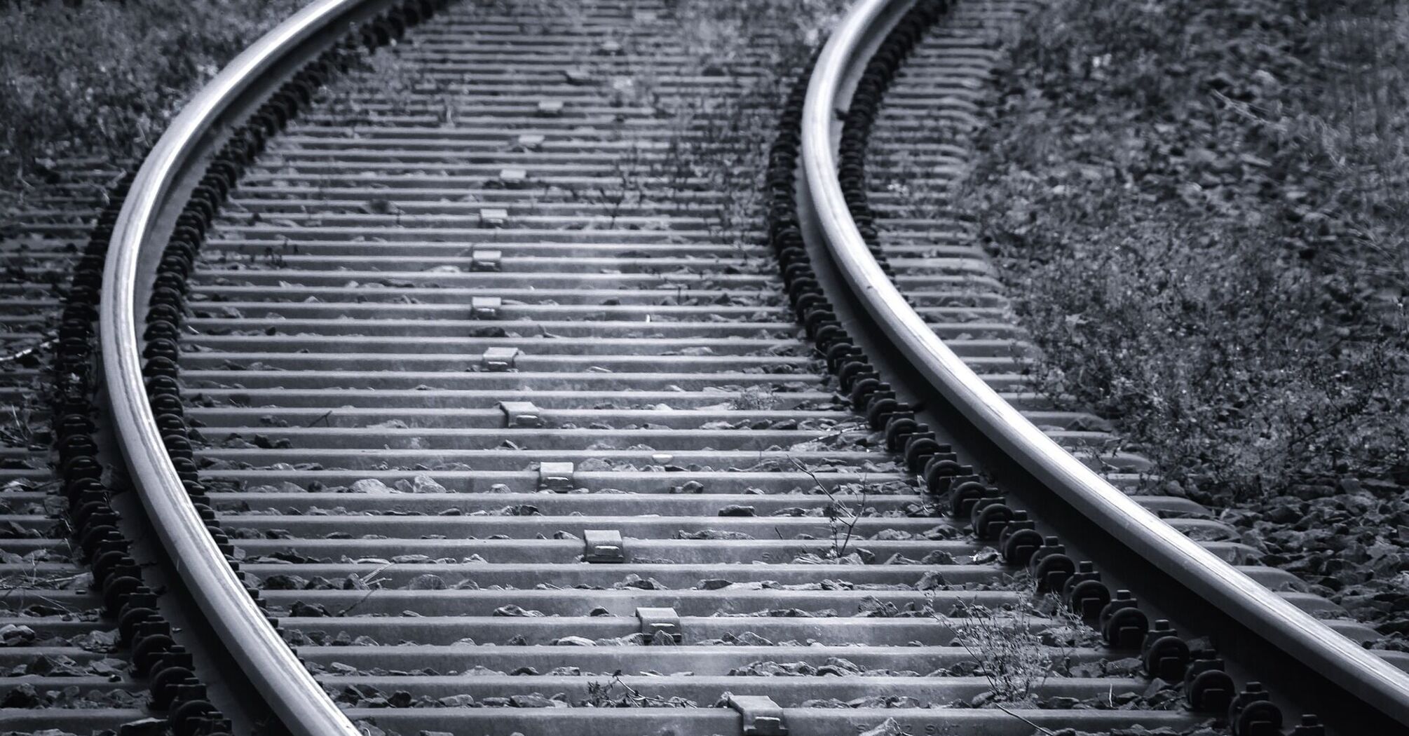 Curved railway tracks in a wooded area