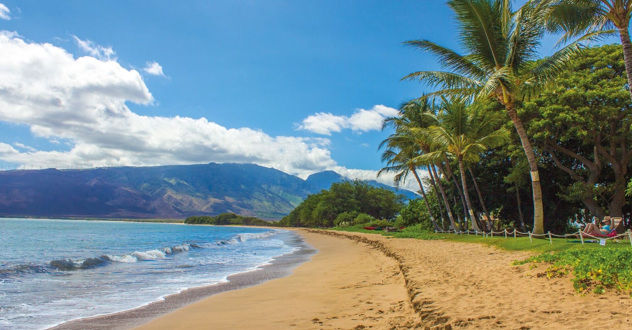 A serene tropical beach with palm trees and gentle waves under a clear blue sky