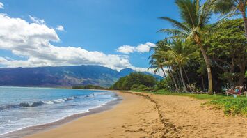 A serene tropical beach with palm trees and gentle waves under a clear blue sky