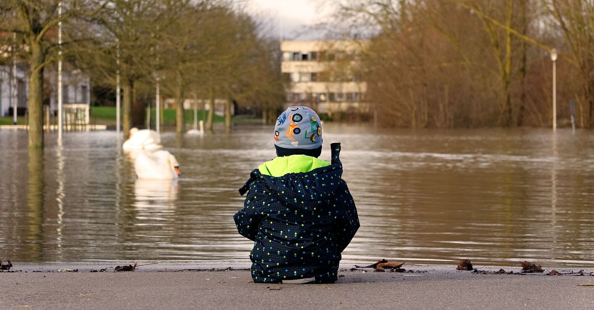 A child sitting on a flooded street, observing swans in the water