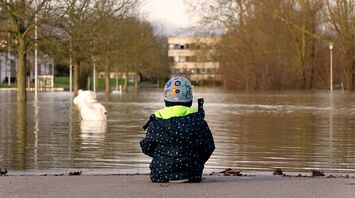 A child sitting on a flooded street, observing swans in the water