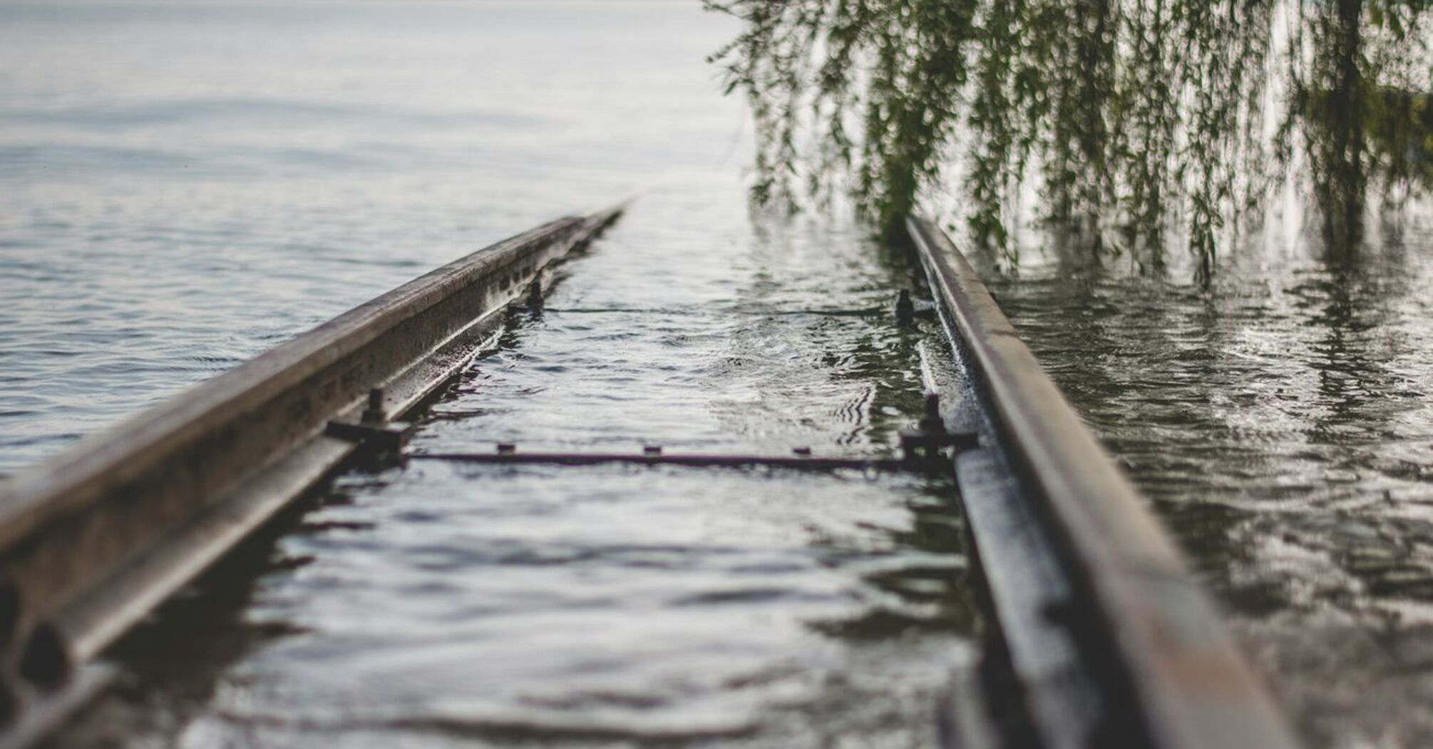 Flooded railway track submerged in water near a tree branch