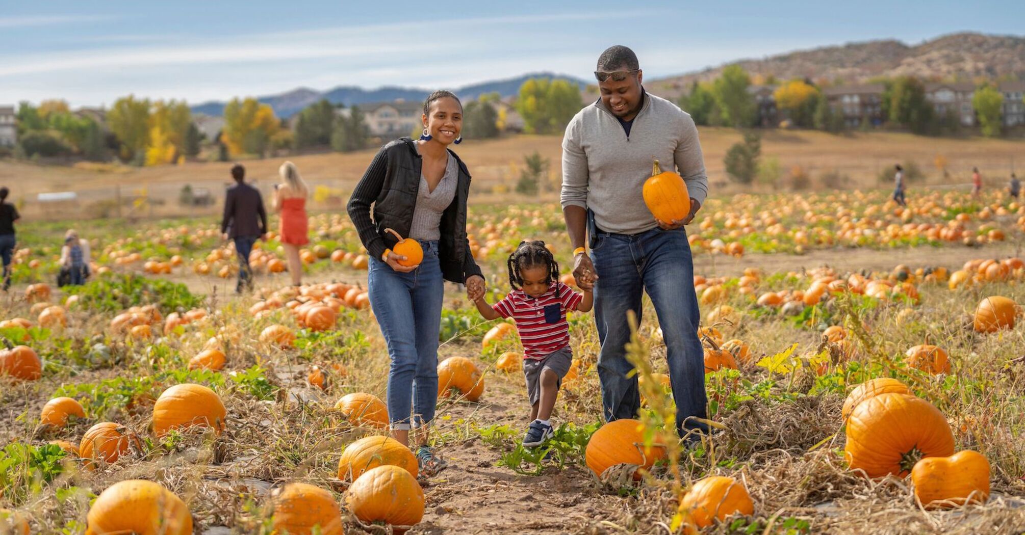 Top Pumpkin Patches Near San Francisco to Visit This Fall