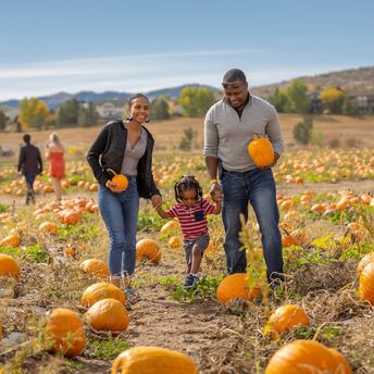 Top Pumpkin Patches Near San Francisco to Visit This Fall