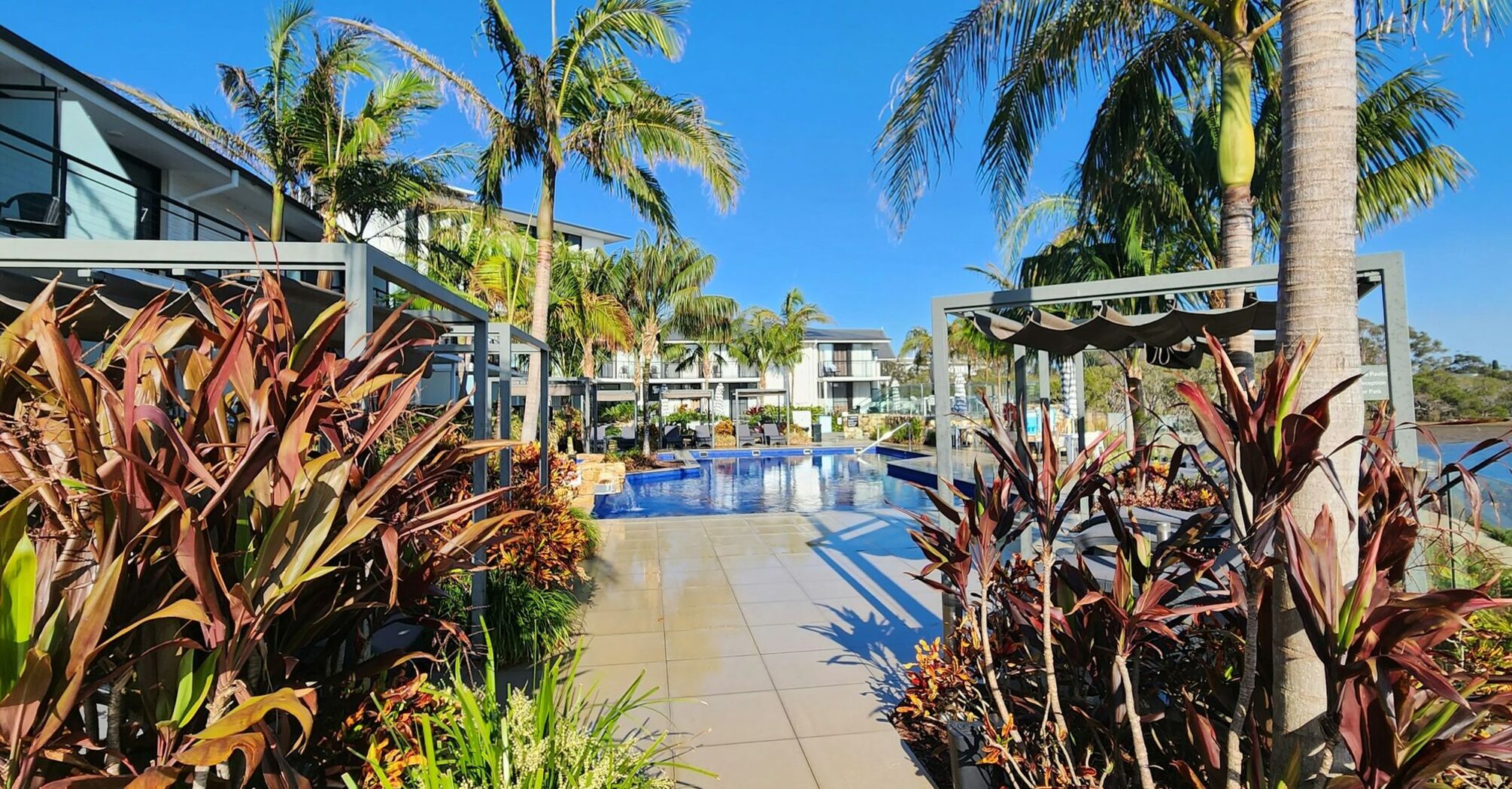 Outdoor pool area surrounded by tropical plants and modern resort buildings under a clear blue sky