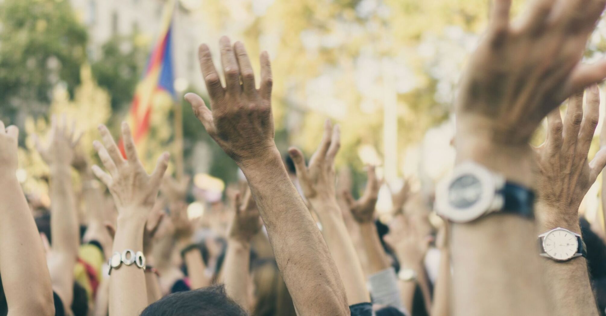 A crowd of raised hands during a public protest, with a blurred background showing a flag in the distance