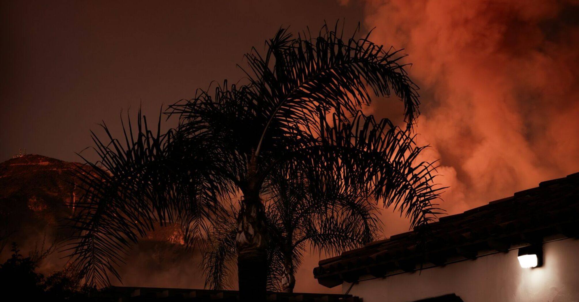 A palm tree silhouetted against a glowing sky with thick smoke rising in the background, indicating a wildfire nearby at night