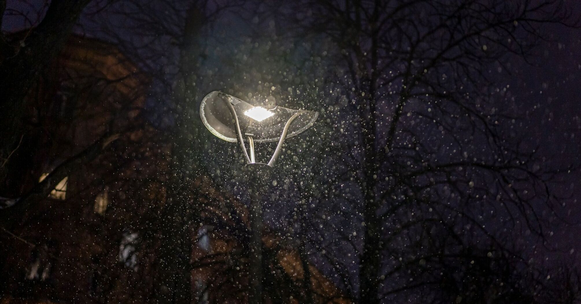 A streetlight illuminating snowflakes falling at night against the backdrop of bare trees