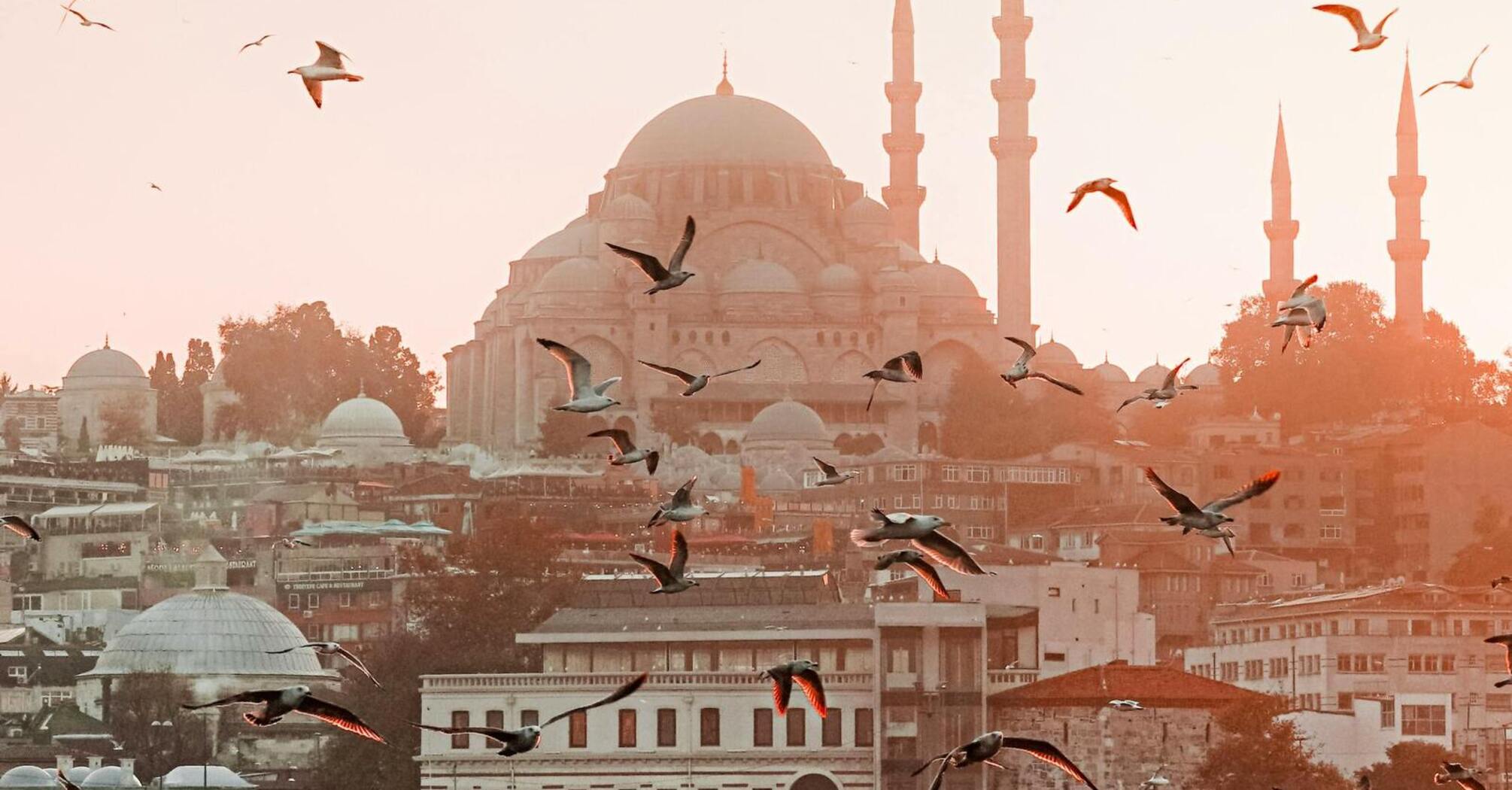 Istanbul skyline at sunset with birds flying and a ferry on the water