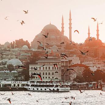 Istanbul skyline at sunset with birds flying and a ferry on the water