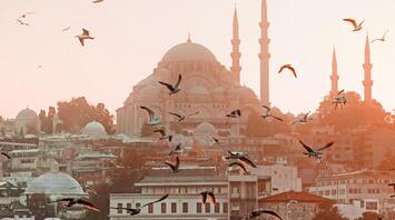 Istanbul skyline at sunset with birds flying and a ferry on the water