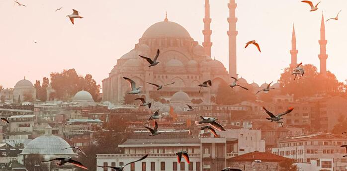 Istanbul skyline at sunset with birds flying and a ferry on the water
