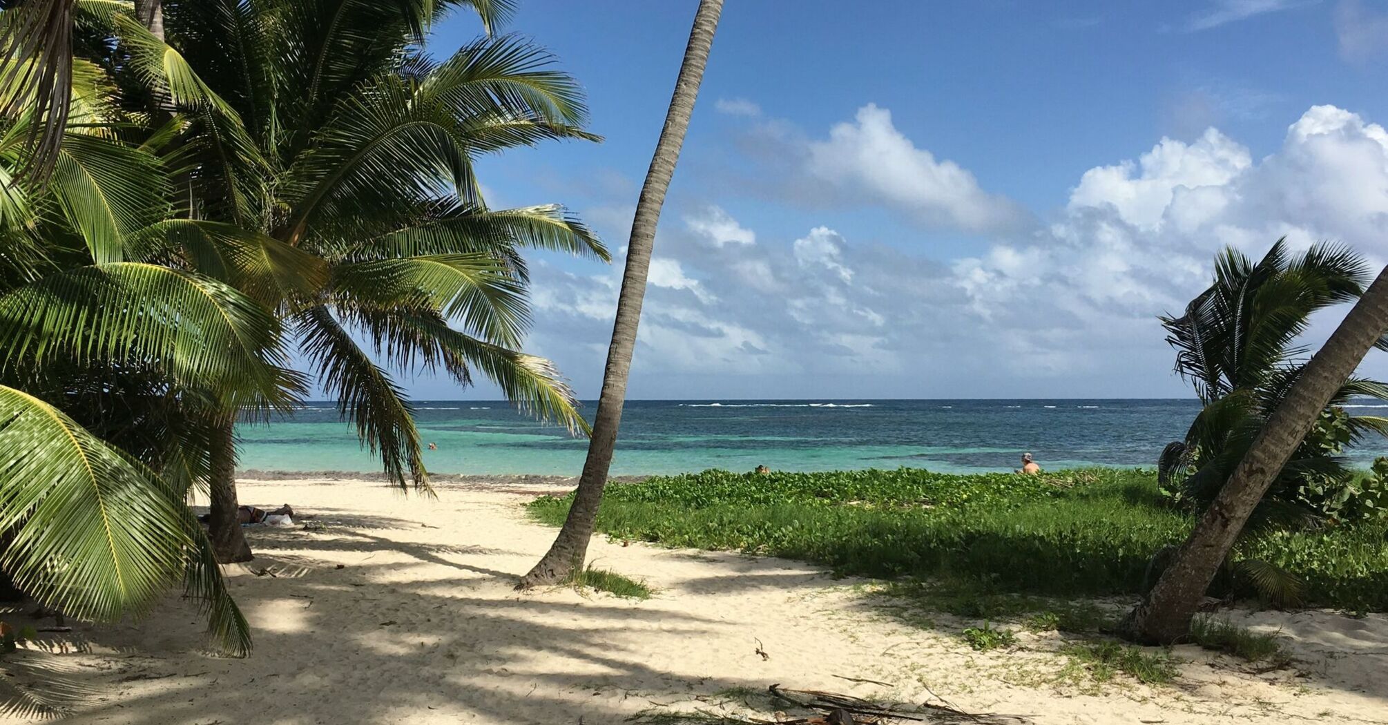 Tropical beach with palm trees and turquoise water