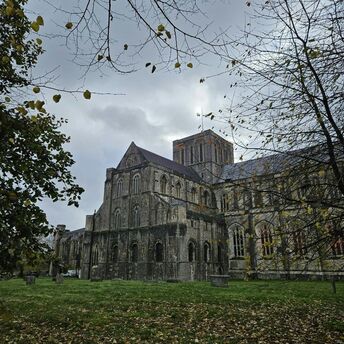 A view of Winchester Cathedral with autumn leaves on the ground and a cloudy sky overhead, framed by tree branches