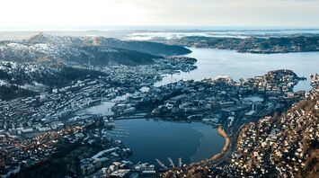 Bergen from above