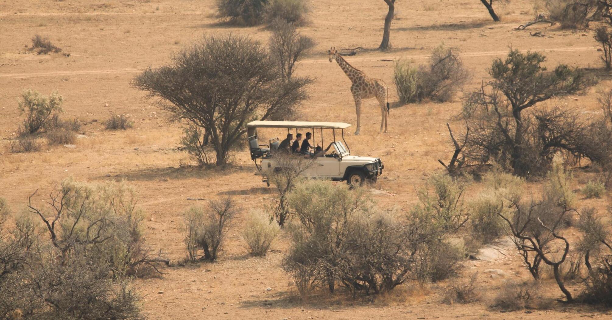 Tourists in a safari vehicle observing a giraffe in a dry savanna landscape