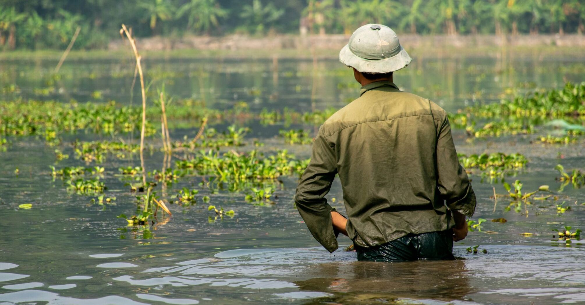 Person wading through floodwater in a green field