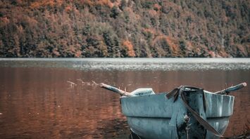 Transylvania, România