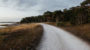 Gotland, Sverige
